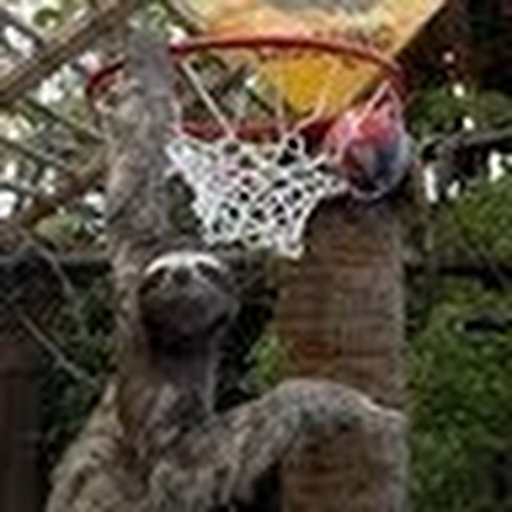 Meet your Posher, Jordan